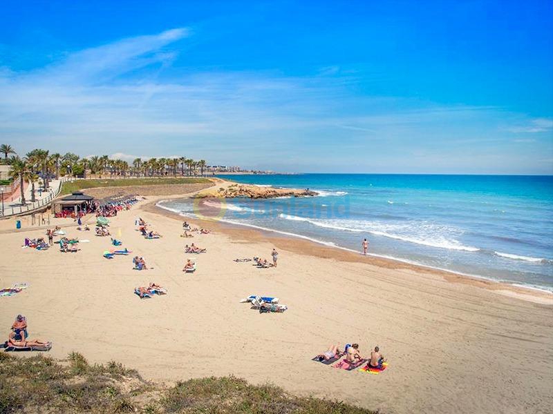 Новостройка - Пентхаус - Orihuela Costa - Playa Flamenca