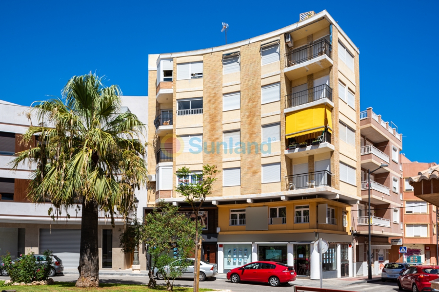 Verkauf - Apartment - Guardamar del Segura - Guardamar Del Segura