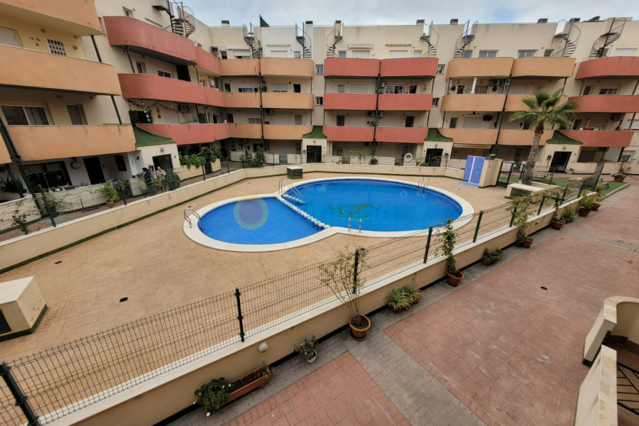 Verkauf - Apartment - Almoradí - Almoradi