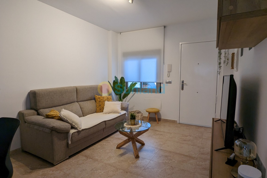 Använda fastigheter - Lägenhet - Torre de la Horadada