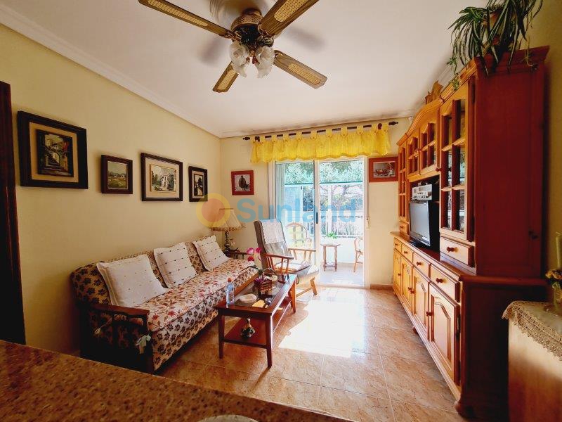 Använda fastigheter - Lägenhet - Guardamar del Segura - Pinomar