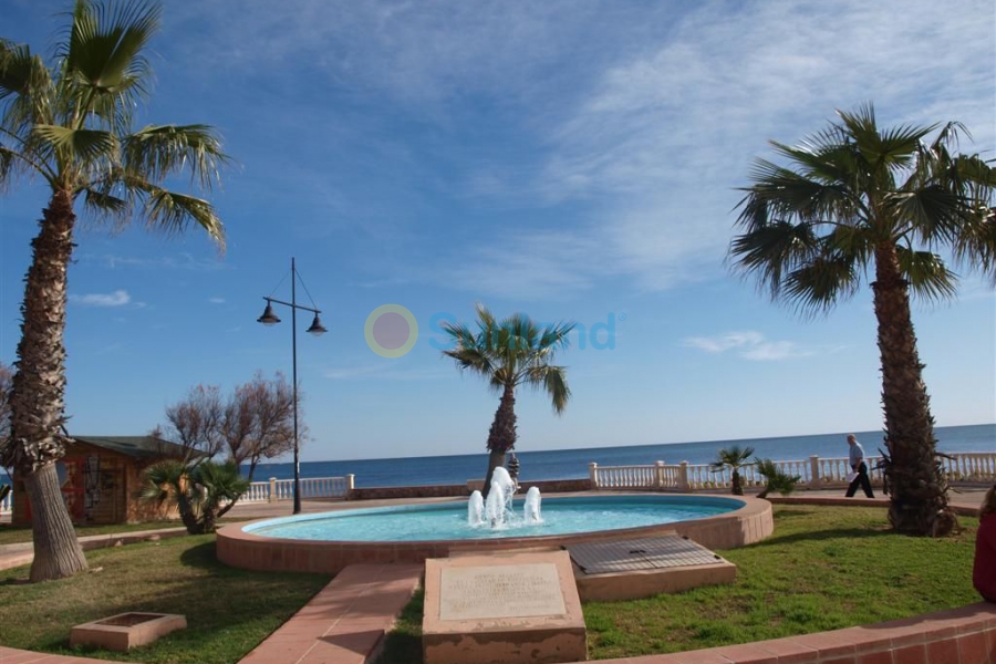 Använda fastigheter -  - Torrevieja - Playa del Cura