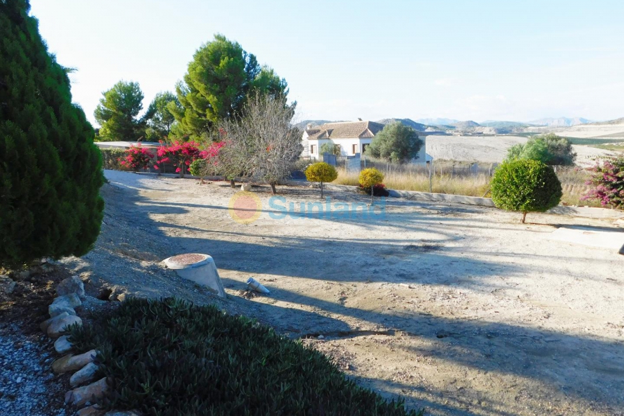 Använda fastigheter - detached-villa - Torremendo