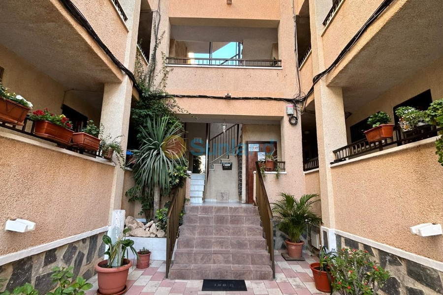Använda fastigheter - Lägenhet - Torrevieja - San Luis