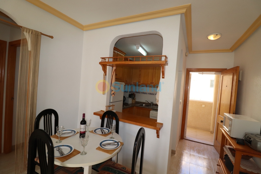 Använda fastigheter - Lägenhet - Guardamar del Segura - El Moncayo