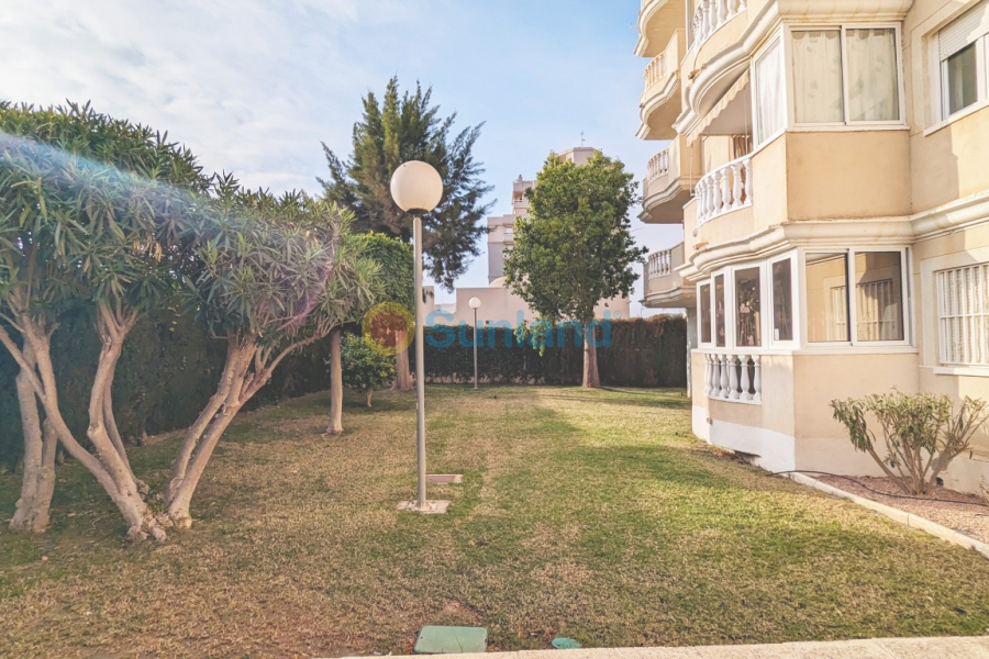 Verkauf - Apartment - Torrevieja