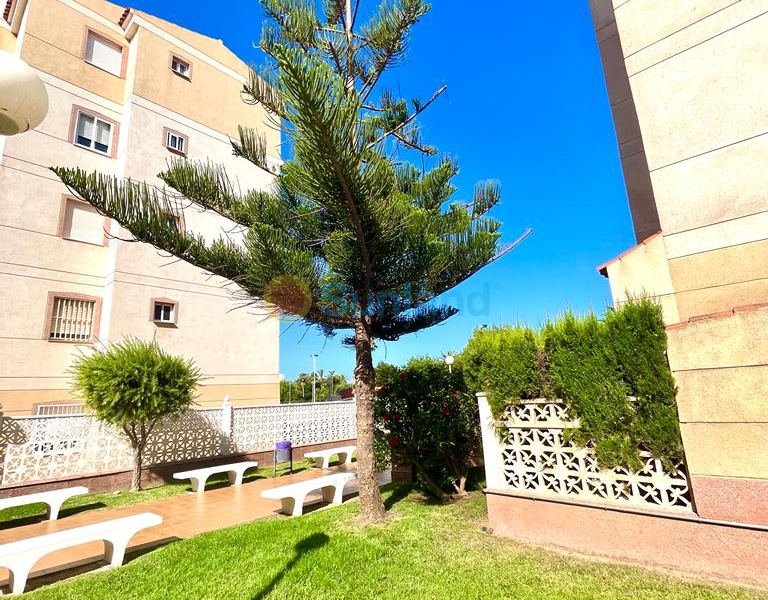 Вторичка - Апартамент - Torrevieja - Calas Blancas