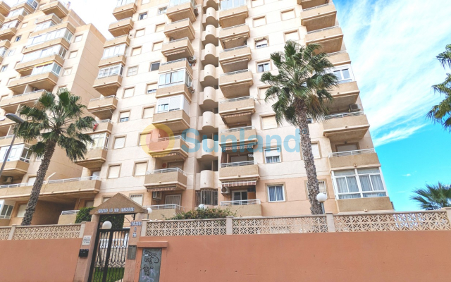 Lägenhet - Använda fastigheter - Torrevieja - Torrevieja