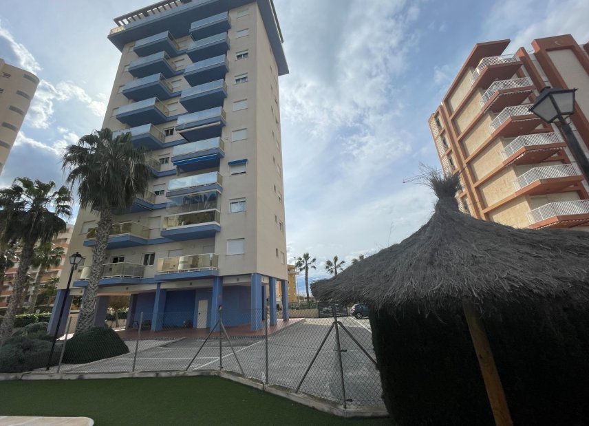 Använda fastigheter - Apartment - Flat - Guardamar del Segura - Puerto Deportivo