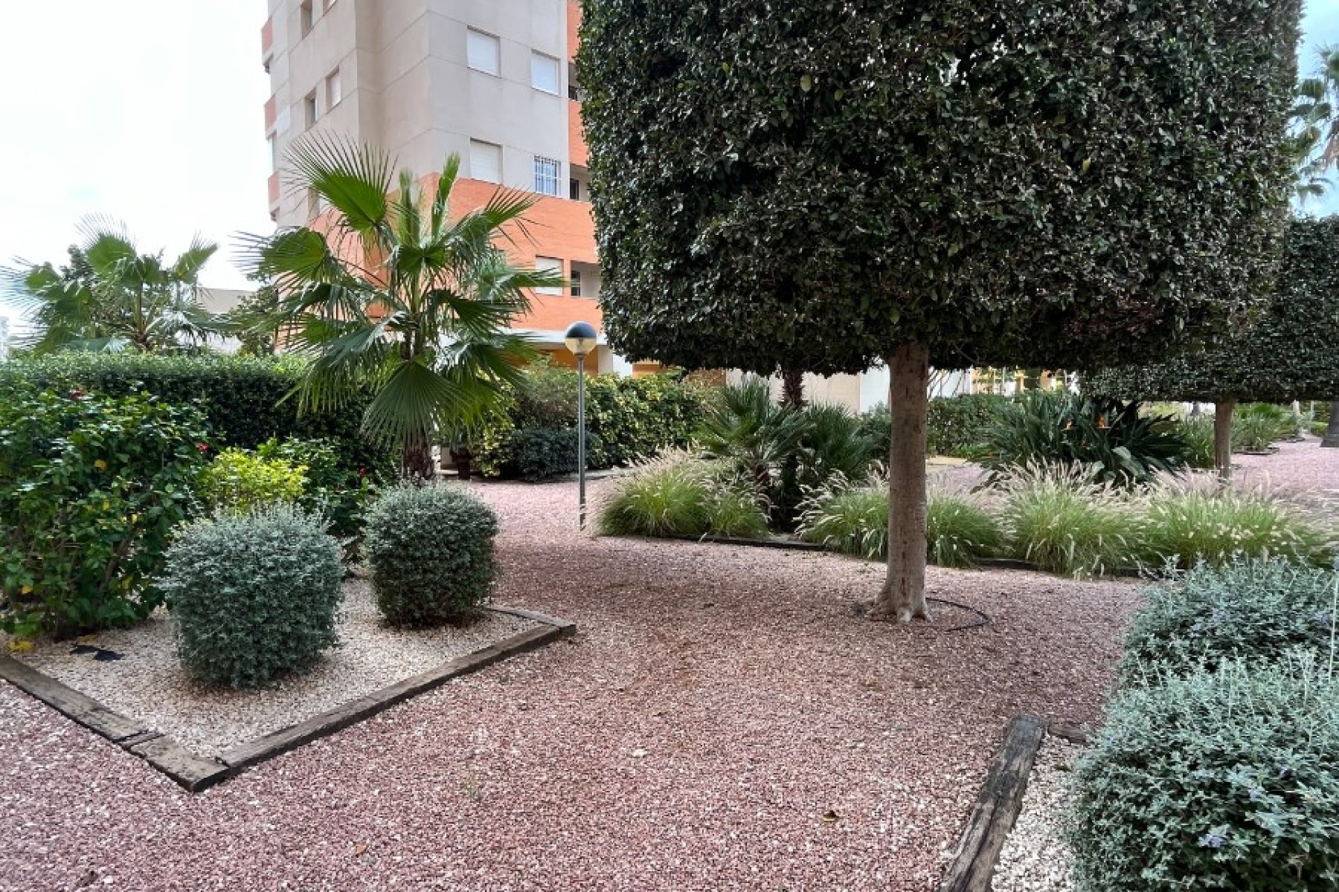 Använda fastigheter - Apartment - Flat - Guardamar del Segura - Puerto Deportivo