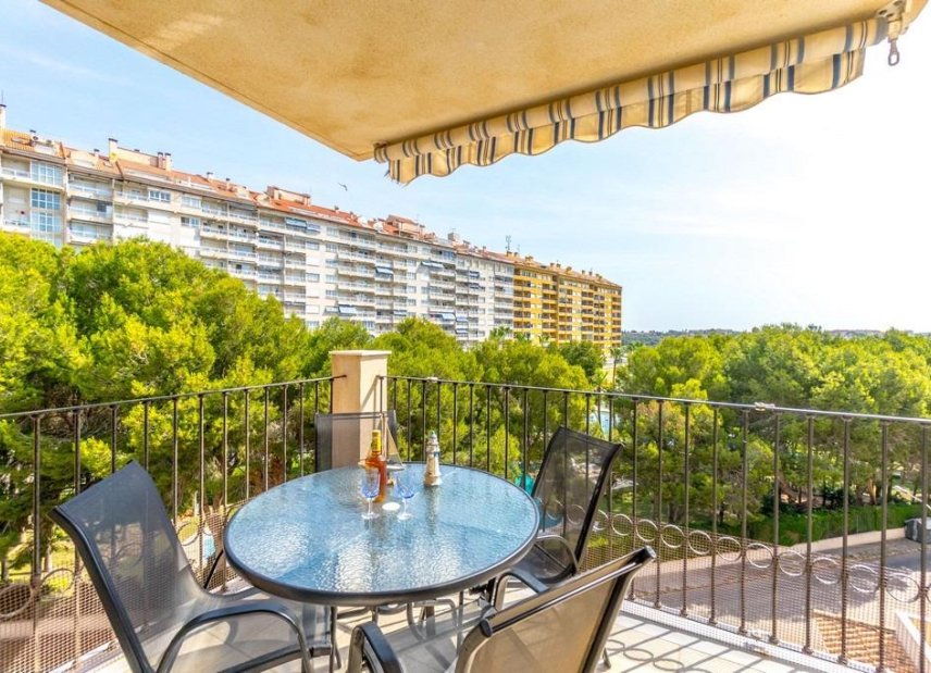 Använda fastigheter - Apartment - Flat - Orihuela Costa - Campoamor