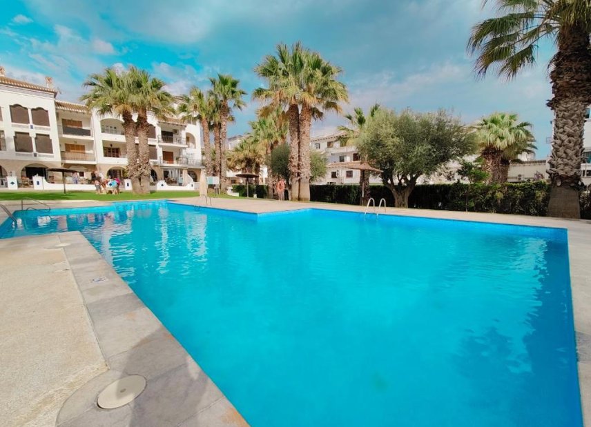 Använda fastigheter - Apartment - Flat - Orihuela Costa - Villamartin