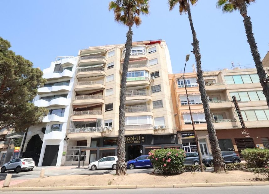 Använda fastigheter - Apartment - Flat - Torrevieia - Torrevieja