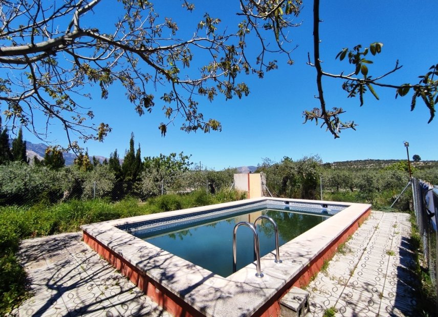 Använda fastigheter - Finca / Country Property - Cocentaina