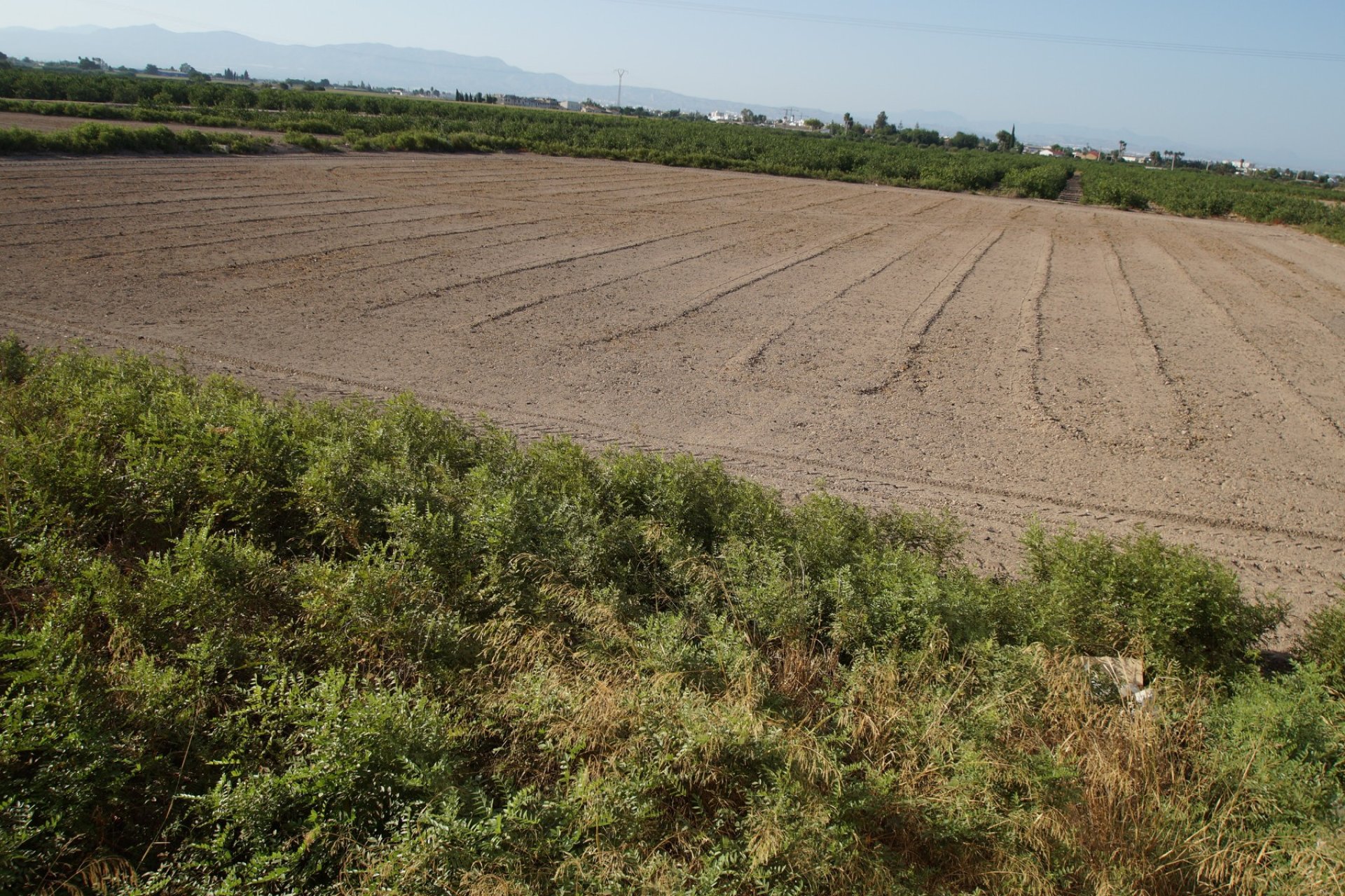 Använda fastigheter - Finca / Country Property - Daya Nueva - pueblo