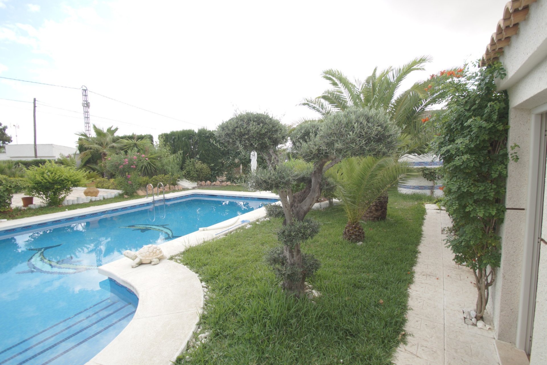 Använda fastigheter - Villa - El Rebolledo