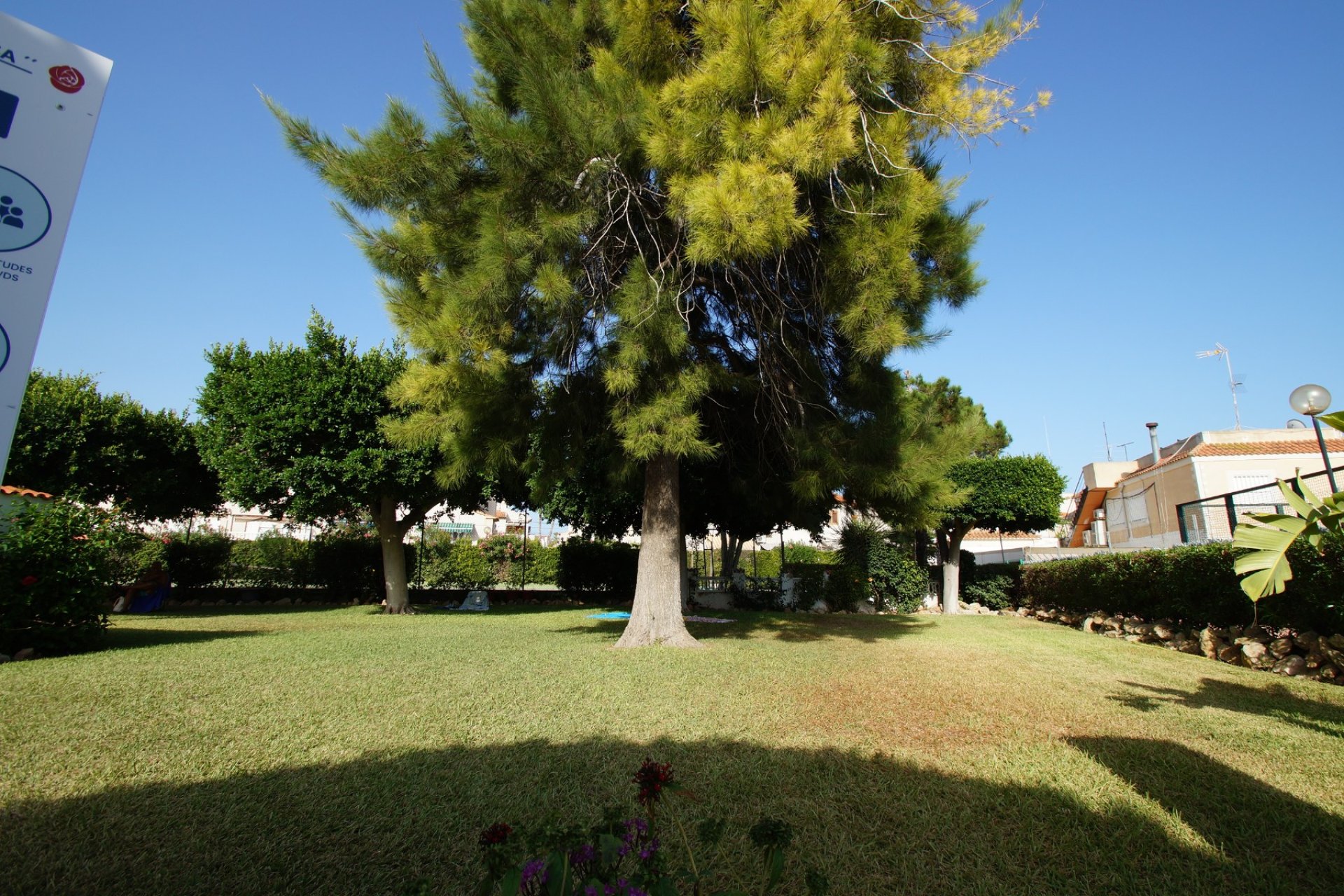 Använda fastigheter - Villa - Guardamar del Segura - Playa del Moncayo