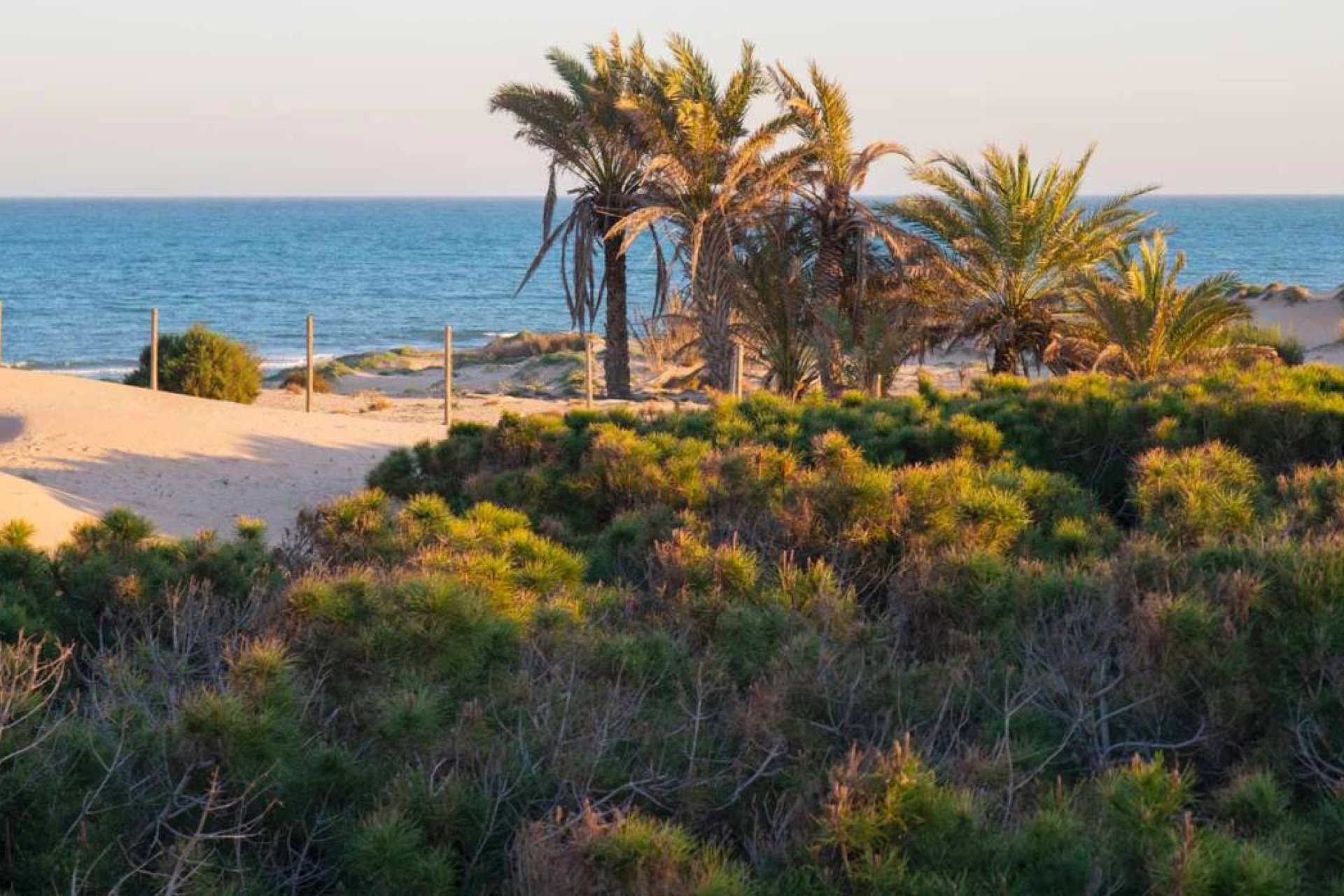 Använda fastigheter - Villa - Guardamar del Segura - Playa del Moncayo