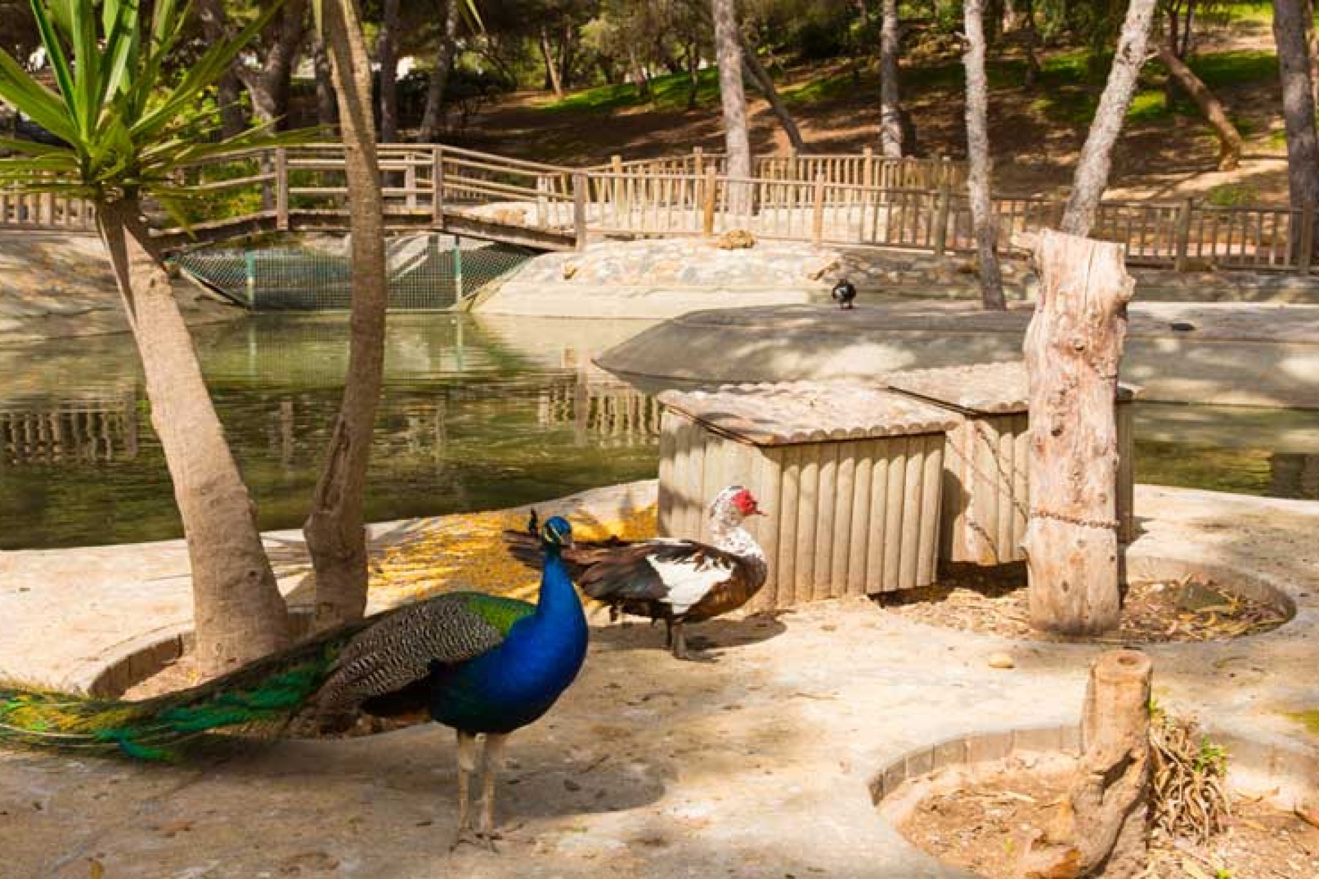 Använda fastigheter - Villa - Guardamar del Segura - Playa del Moncayo