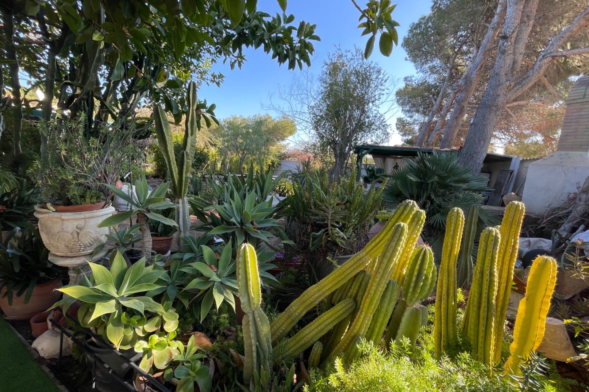 Använda fastigheter - Villa - Orihuela Costa - Lomas De Cabo Roig