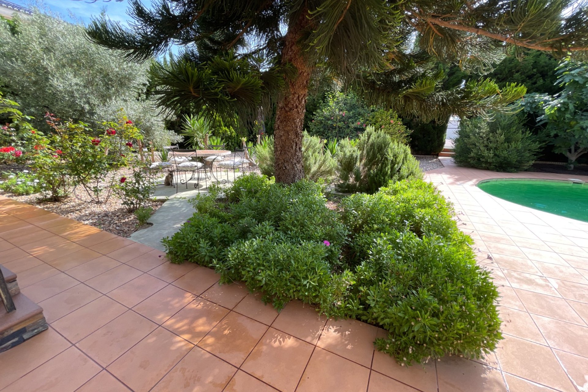 Använda fastigheter - Villa - Rojales - Ciudad Quesada