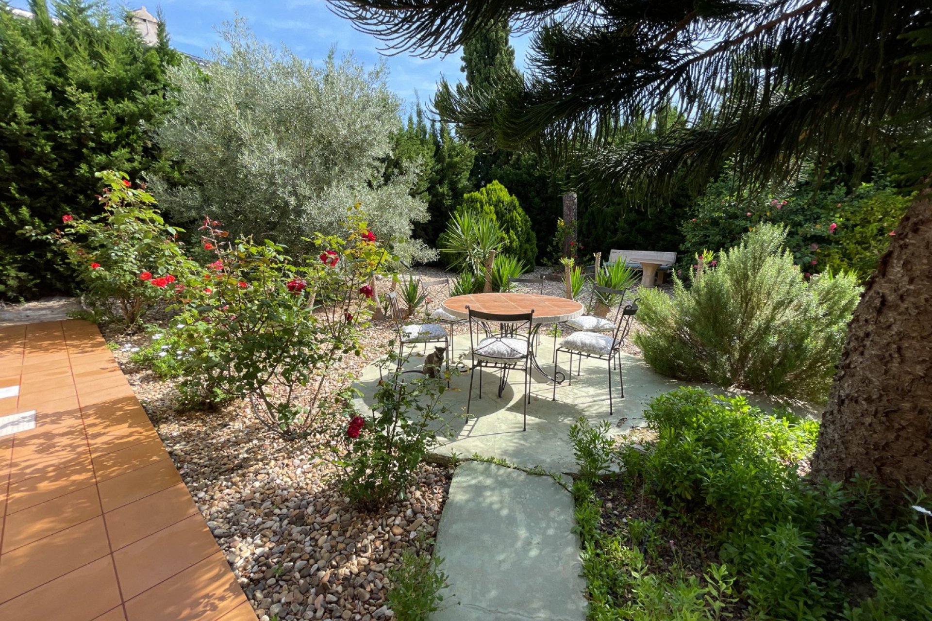 Använda fastigheter - Villa - Rojales - Ciudad Quesada