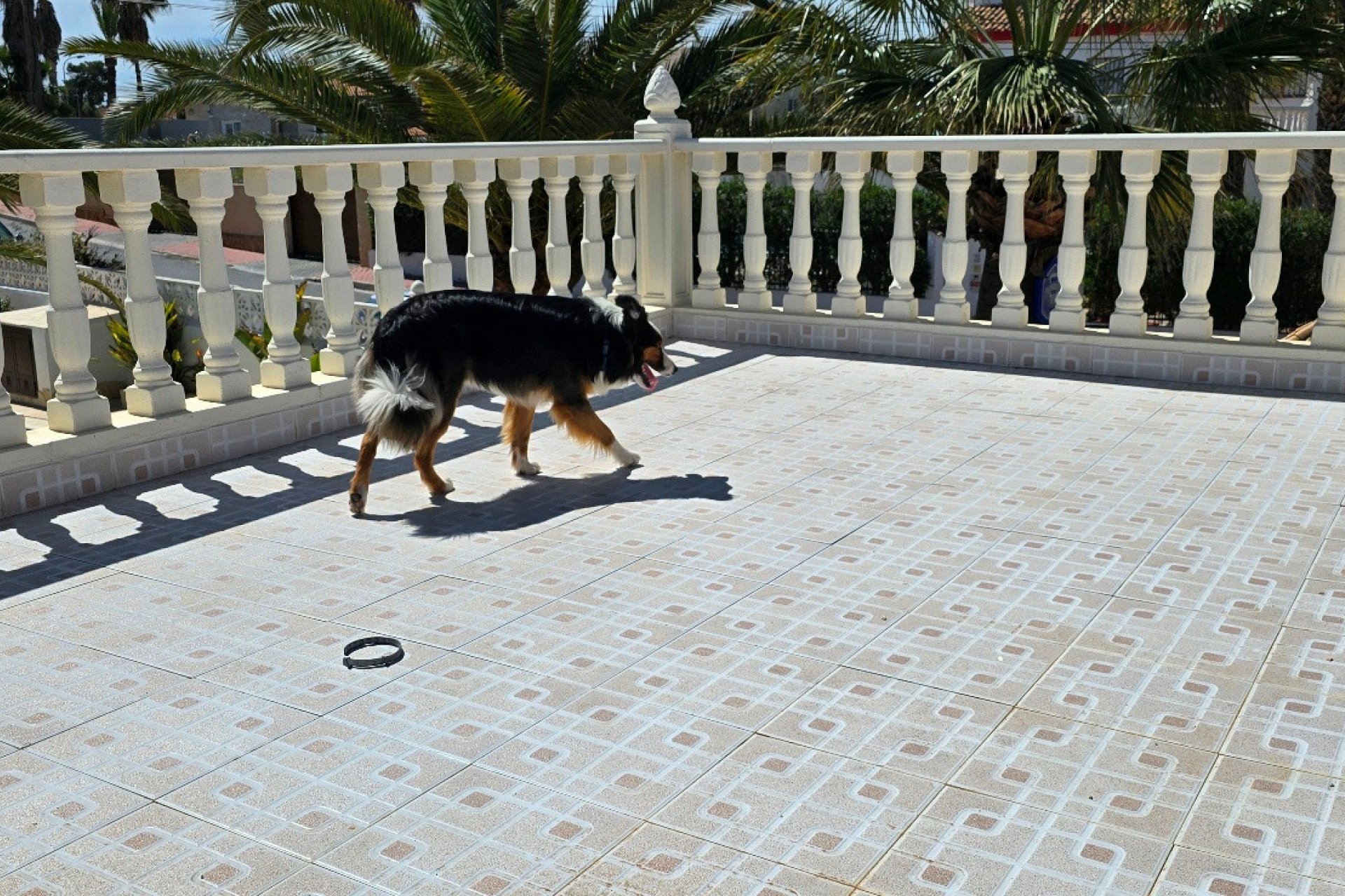 Använda fastigheter - Villa - Torrevieia - El Chaparral