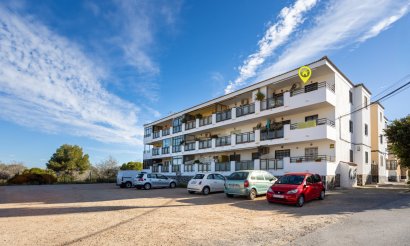 Apartment - Flat - Använda fastigheter - Torrevieia - La Siesta