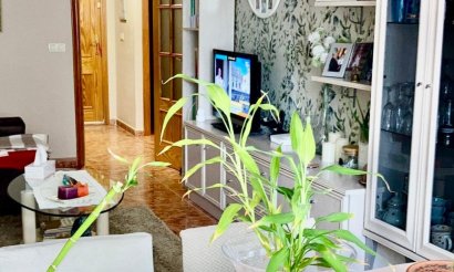 Apartment - Flat - Brukte eiendommer - Benidorm - Playa de Poniente