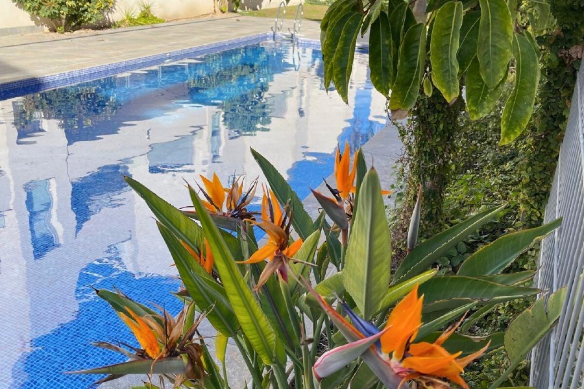 Brukte eiendommer - Bungalow - Torrevieia - Los Naufragos