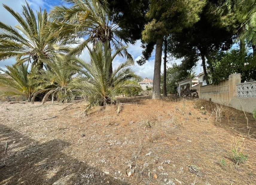 Brukte eiendommer - Tomt - Rojales - Ciudad Quesada