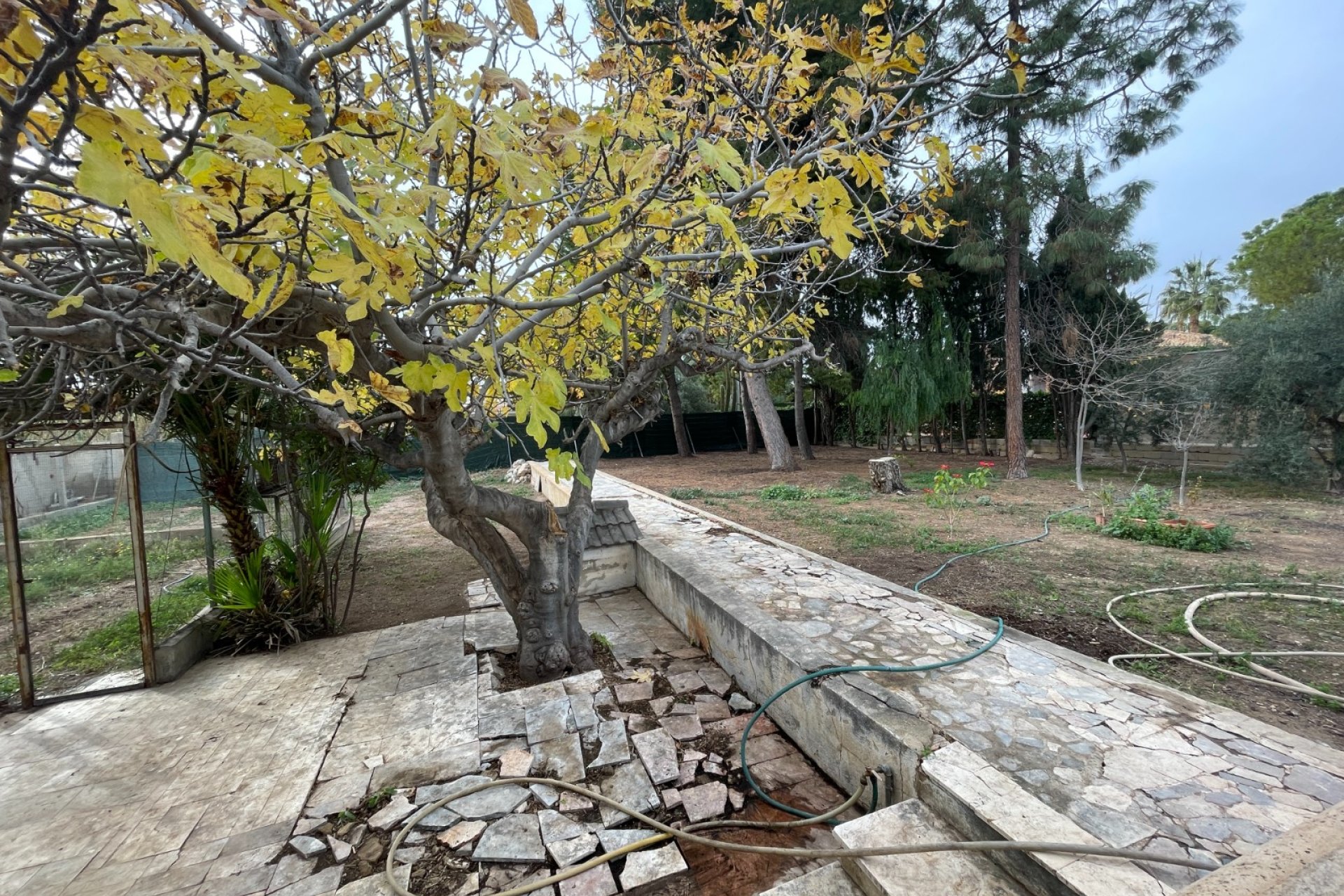 Brukte eiendommer - Villa - Elche