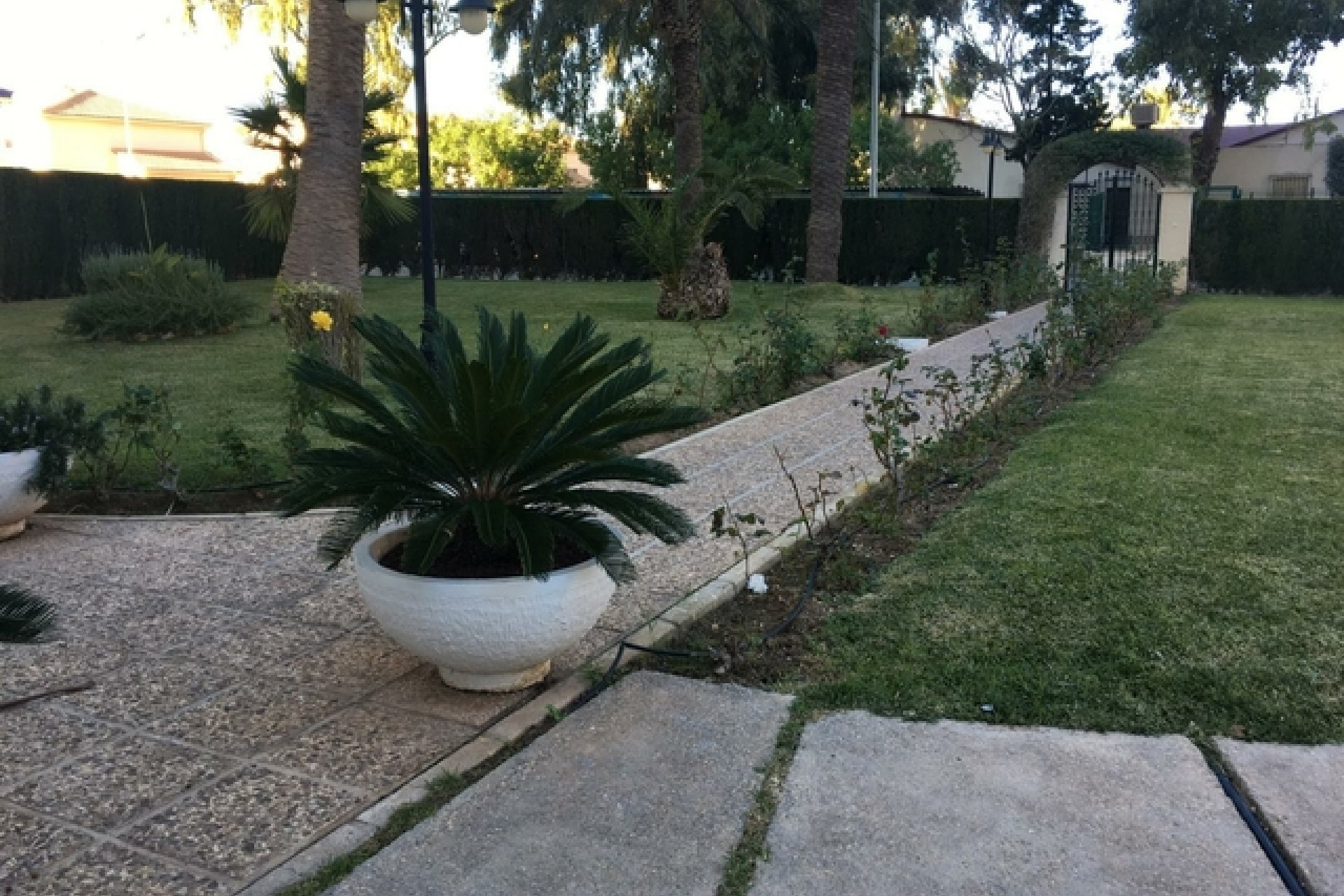 Долгосрочная аренда - Apartment - Flat - Orihuela Costa - Dehesa De Campoamor