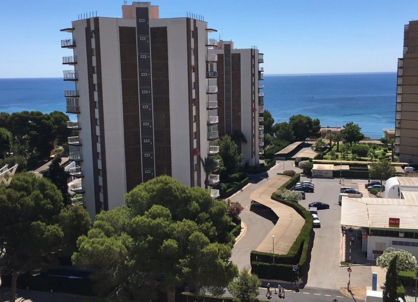 Долгосрочная аренда - Apartment - Flat - Orihuela Costa - Dehesa De Campoamor