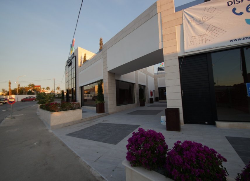 Долгосрочная аренда - Commercial - Rojales - Ciudad Quesada