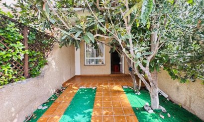 Duplex - Verkauf - Torrevieia - 