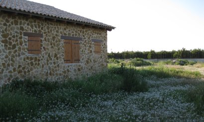 Finca / Country Property - Resale - Benferri - Benferri