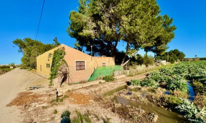 Finca / Country Property - Resale - Guardamar del Segura - Guardamar del Segura