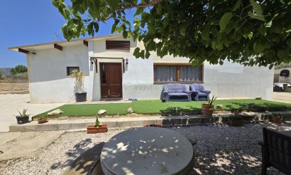 Finca / Country Property - Resale - Sax - Sax