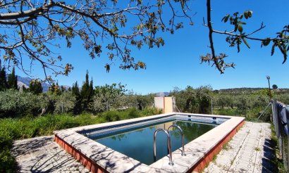 Finca / Country Property - Verkauf - Cocentaina - Cocentaina