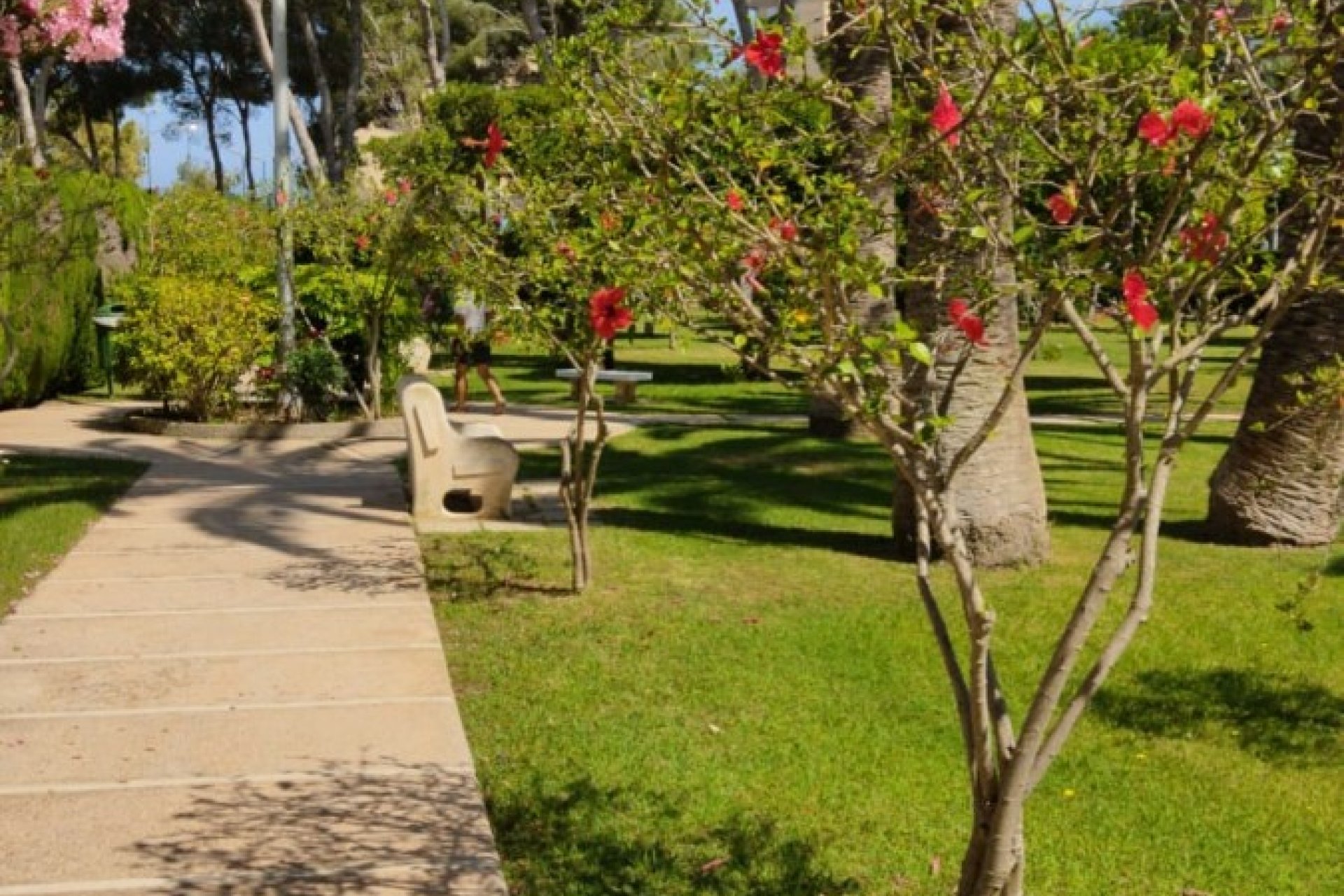 Lang tids utleie - Apartment - Flat - Orihuela Costa - Dehesa De Campoamor