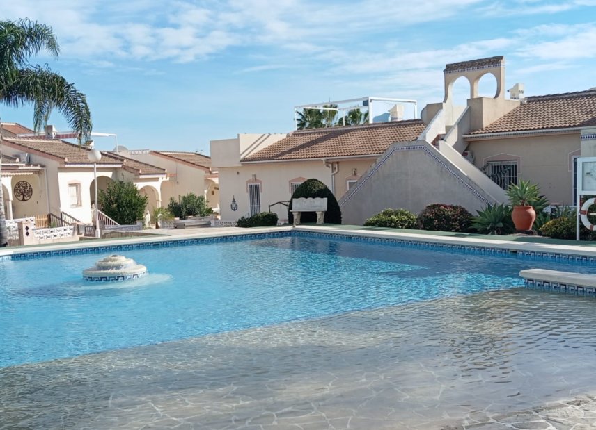 Lang tids utleie - Villa - Ciudad Quesada - Doña pepa