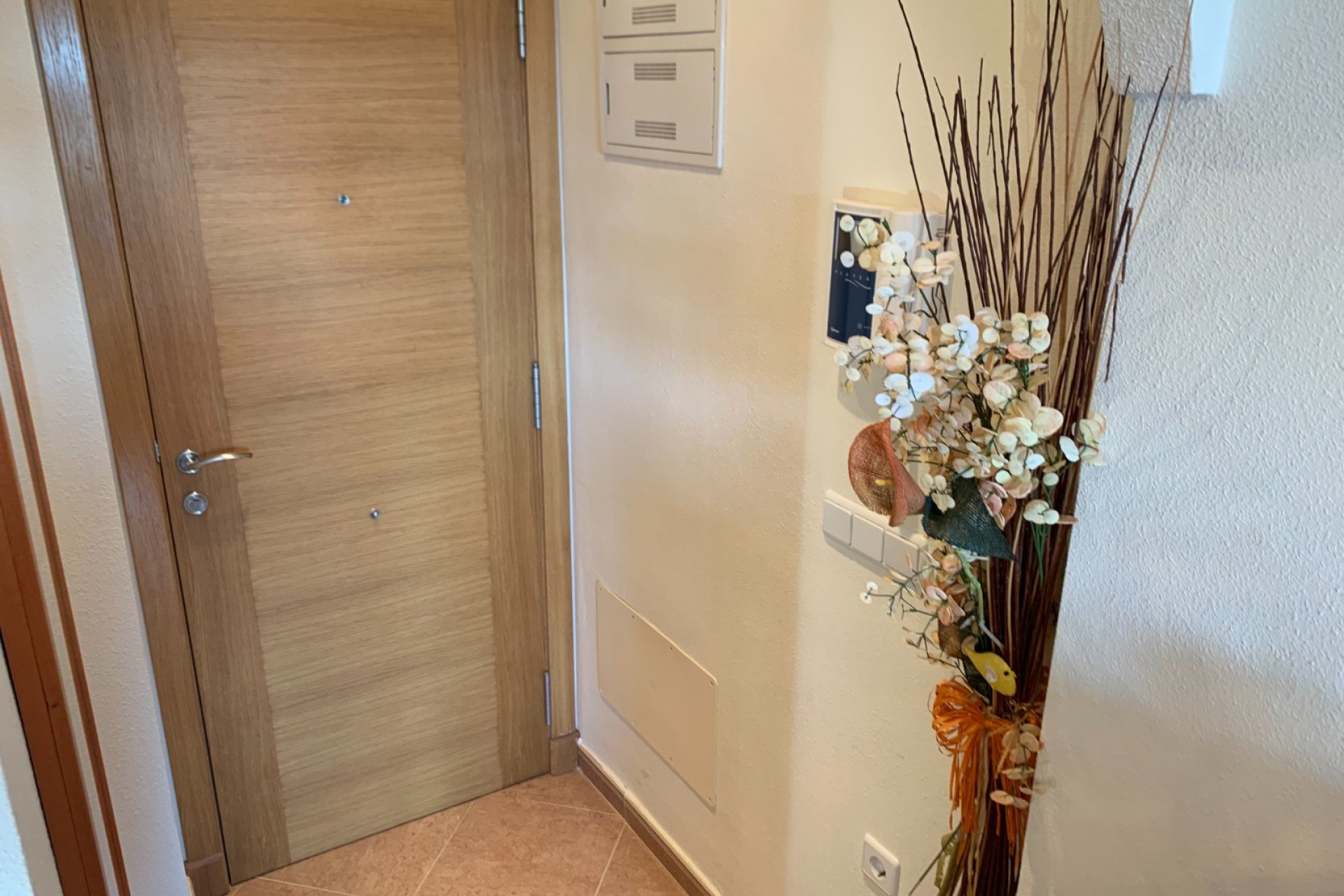 Long time Rental - Apartment - Flat - Formentera del Segura - Formentera de Segura