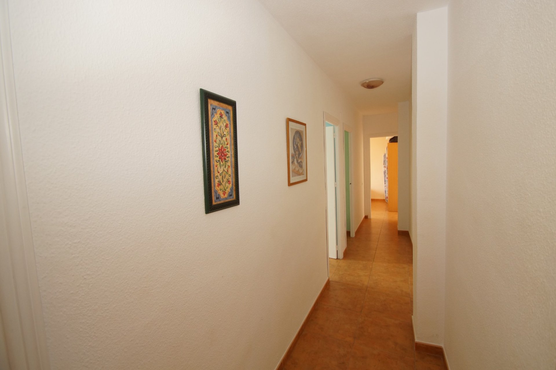 Long time Rental - Apartment - Flat - Torrevieia - La Mata