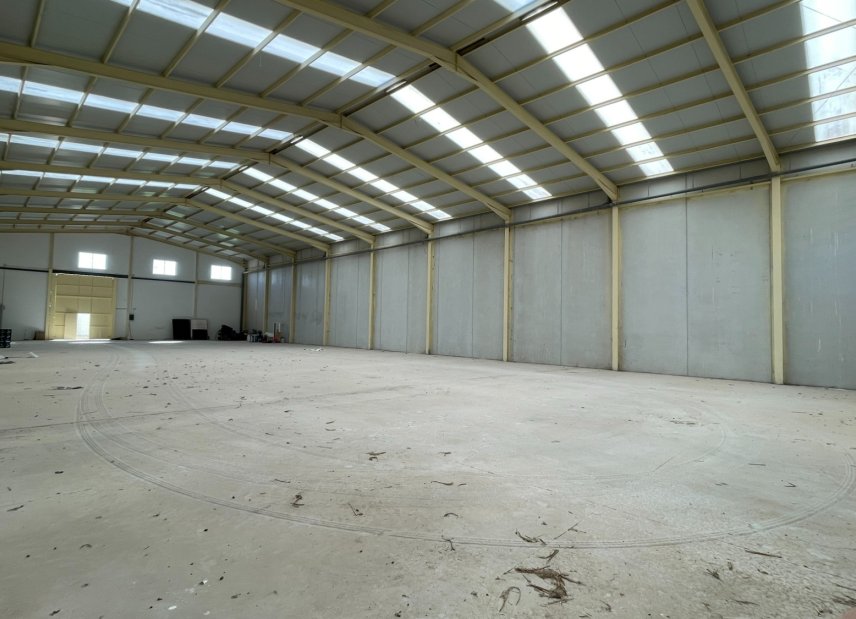 Long time Rental - Commercial - Formentera del Segura - Formentera de Segura