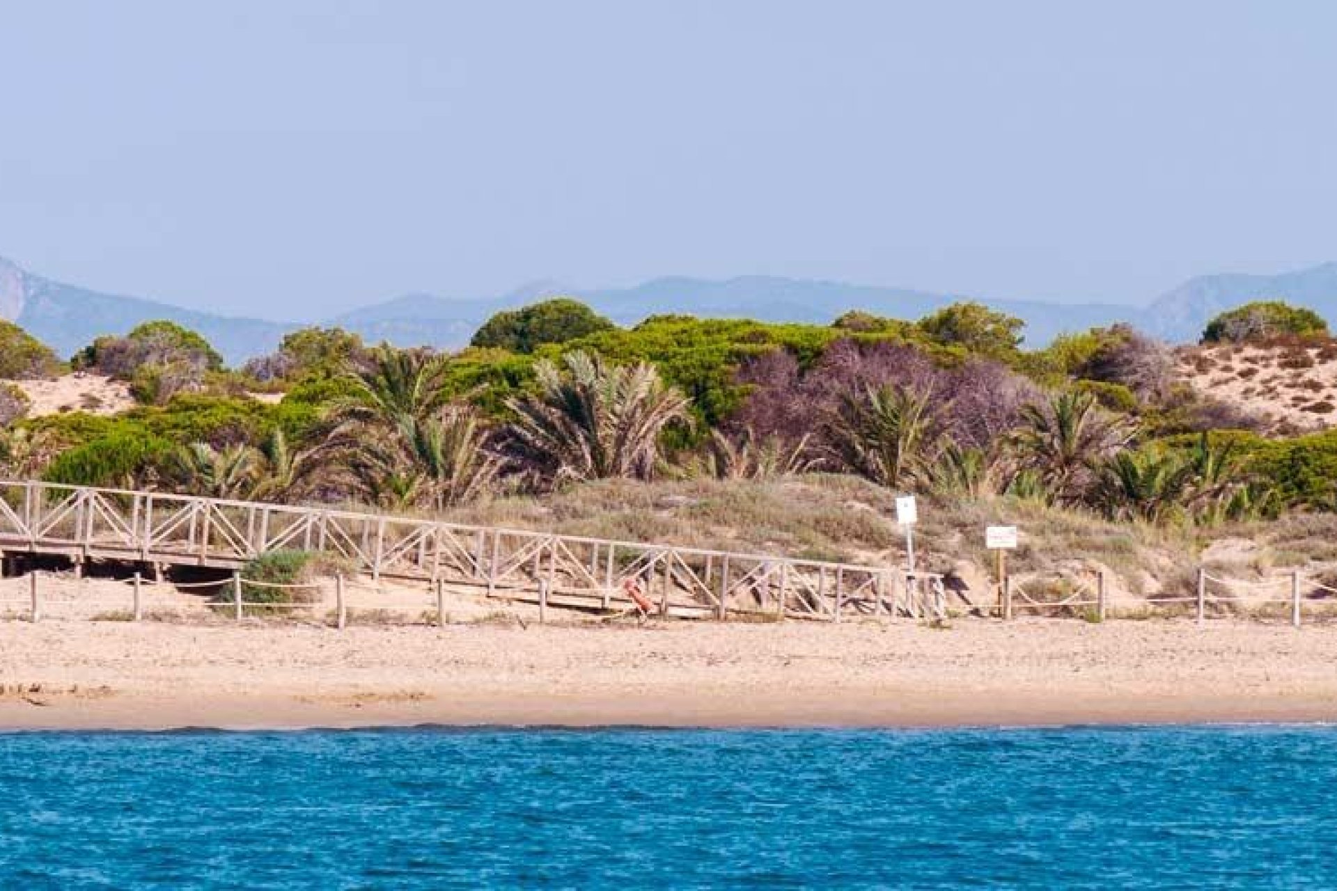 Neubau - Apartment - Flat - Guardamar del Segura - pueblo