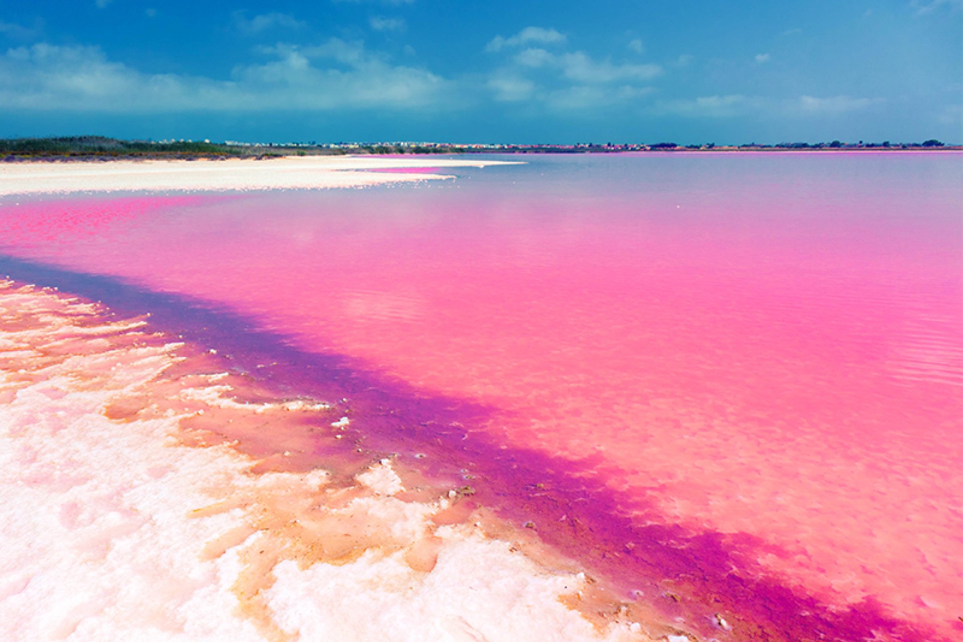 Neubau - Apartment - Flat - Torrevieia - La Siesta