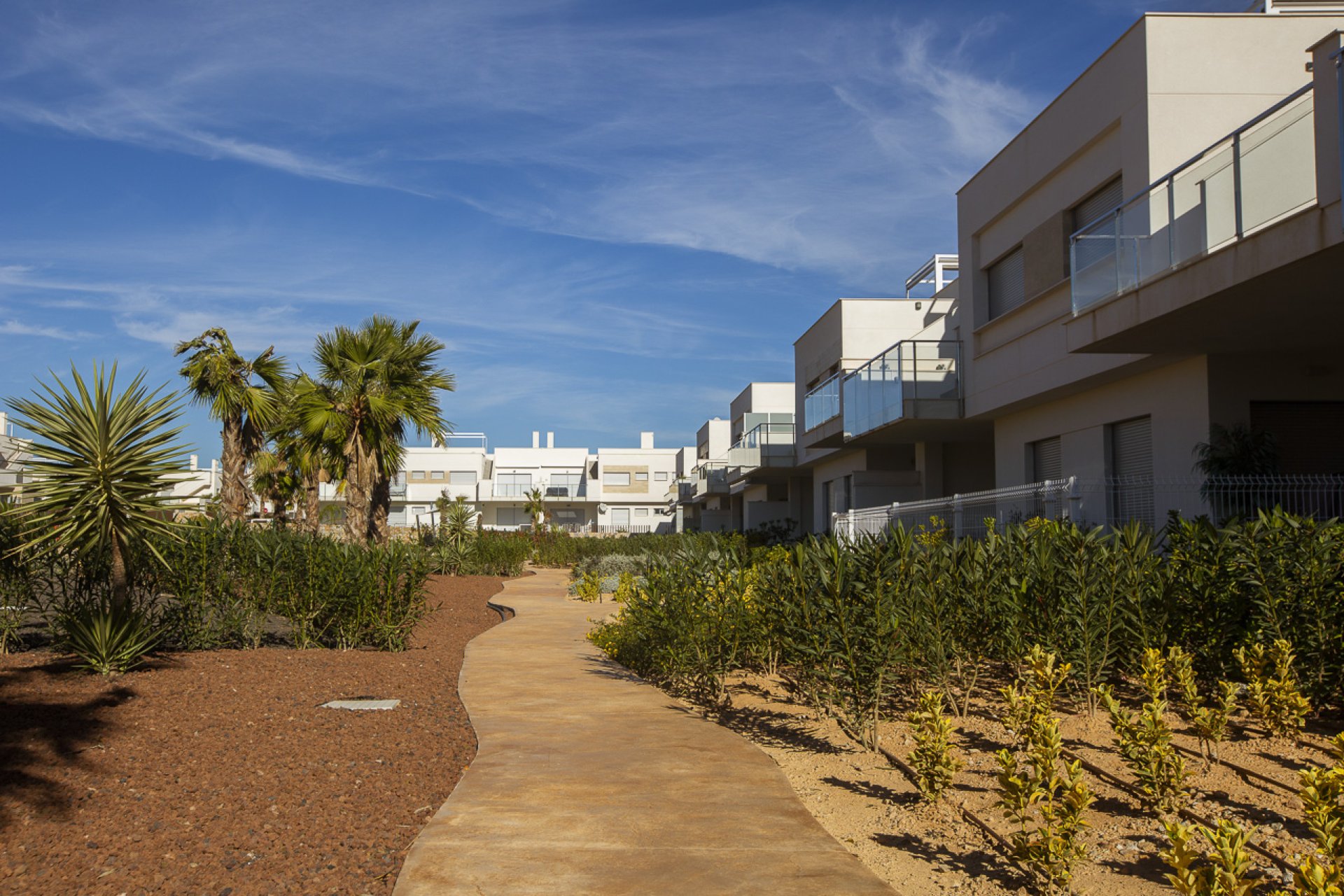 Neubau - Bungalow - Orihuela - Vistabella Golf