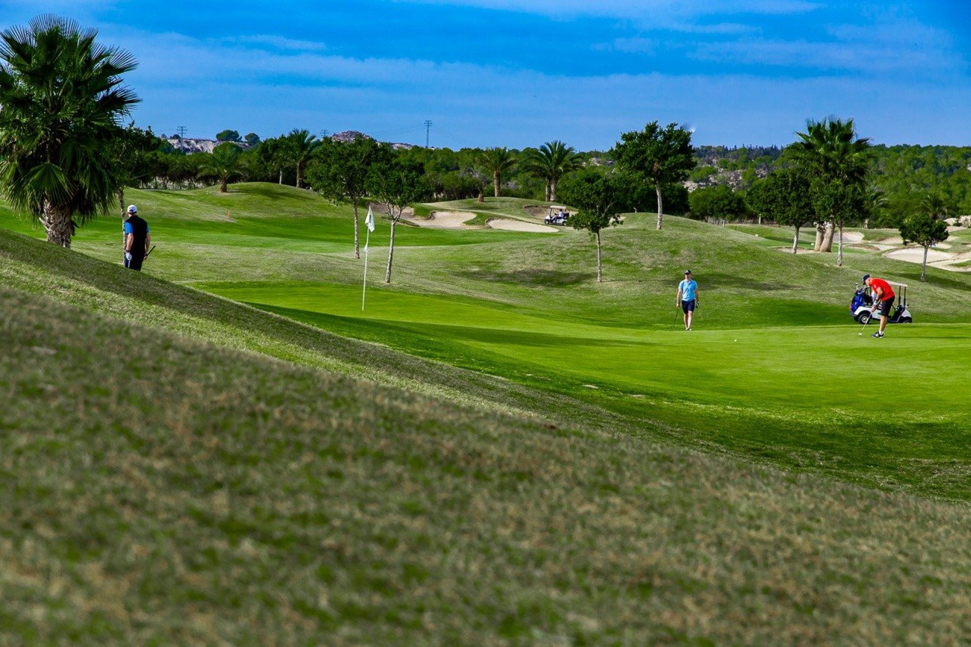 Neubau - Bungalow - Orihuela - Vistabella Golf