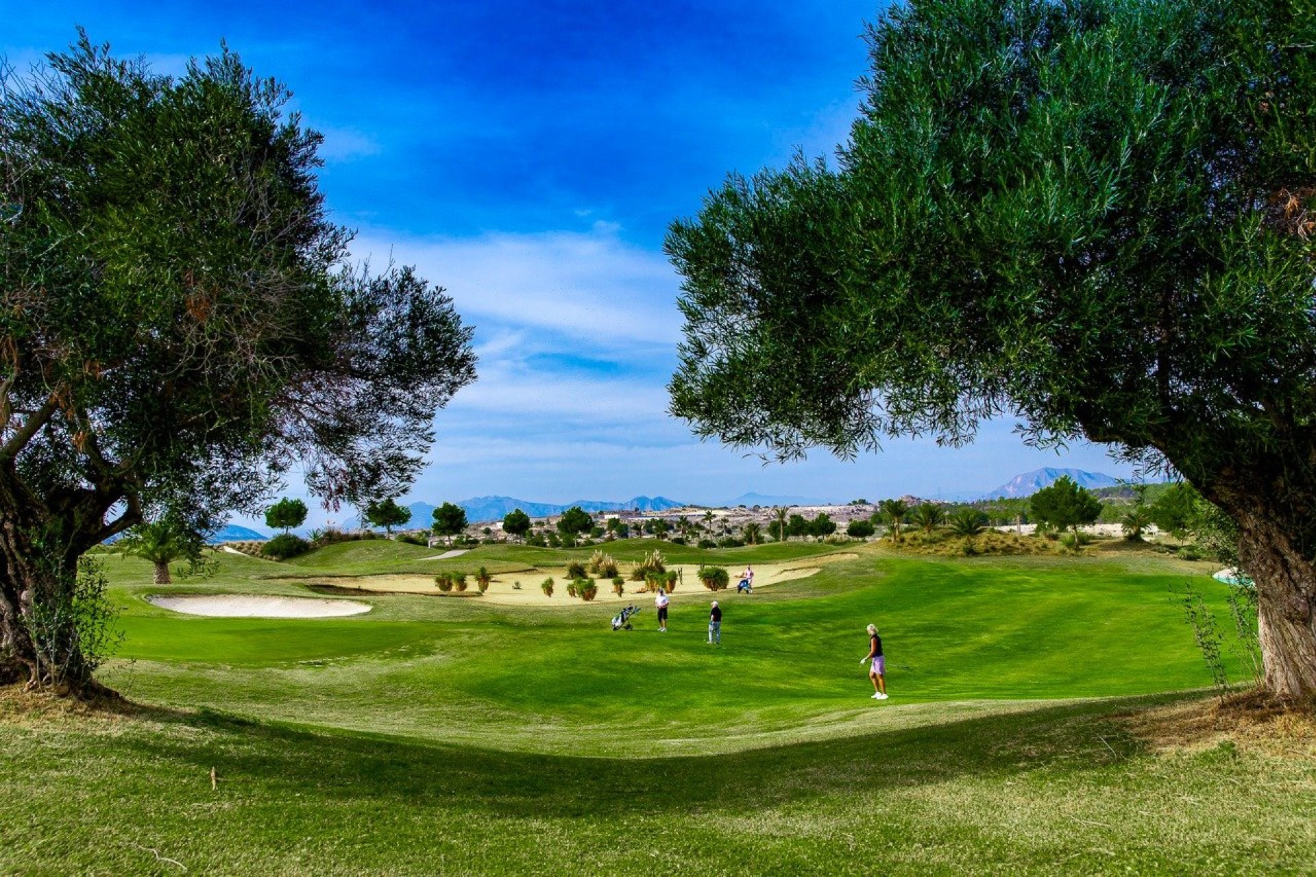 Neubau - Bungalow - Orihuela - Vistabella Golf